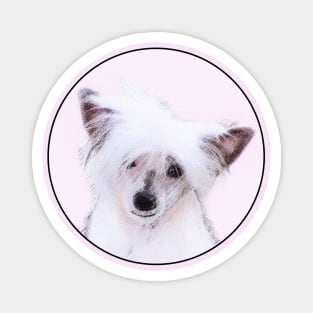 Chinese Crested (Powderpuff) Magnet